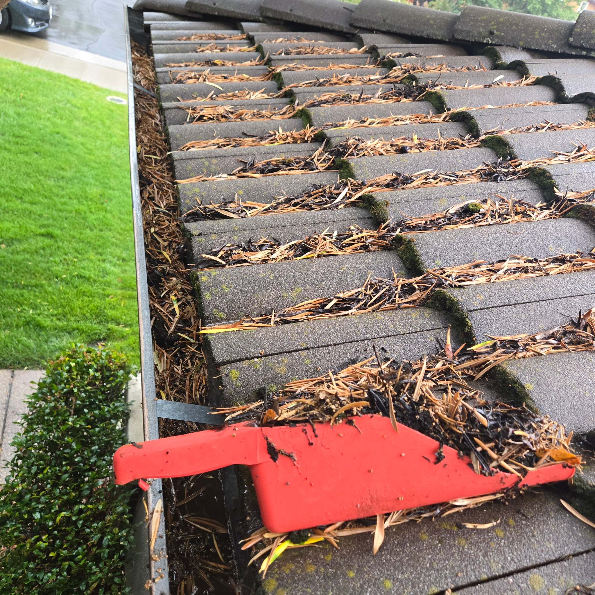 Full Gutter Cleaning - Before